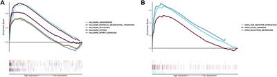 Exploration of shared gene signature with development of pre-eclampsia and cervical cancer